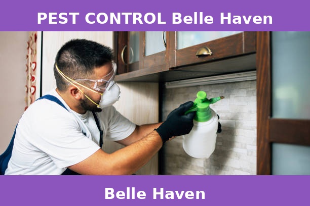 PEST CONTROL Belle Haven